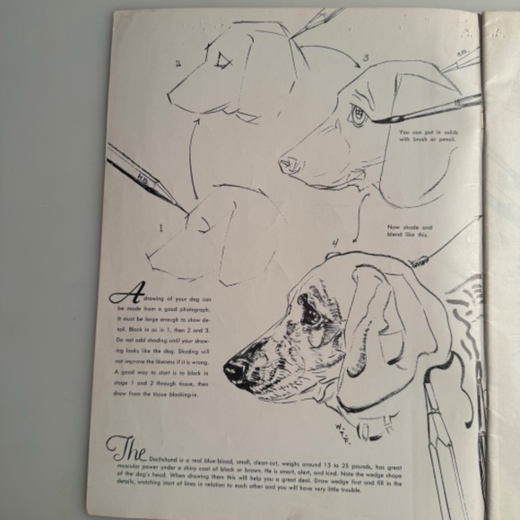 How to Draw Dogs book by Walter Foster - Picture 3 of 4